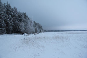 Зимнее озеро Отрадное