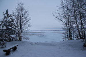 Берег озера Отрадной зимой